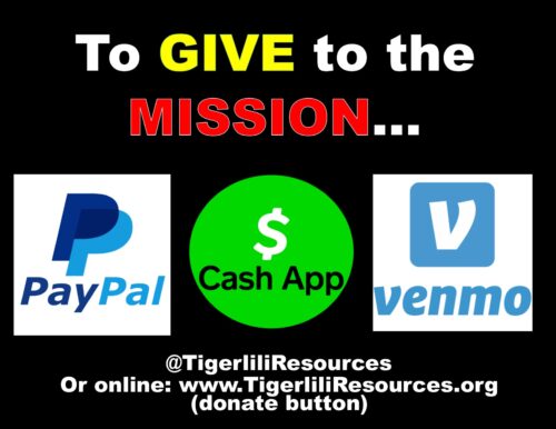 16. Give to the Mission